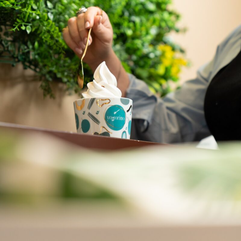 yogorino-frozen-yogurt-004